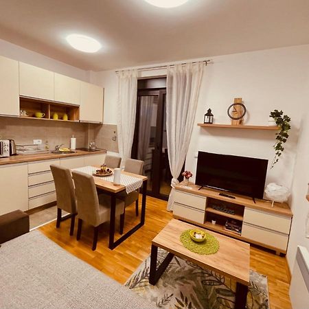 Lux Apartmani Vojinovic 兹拉蒂博尔 外观 照片