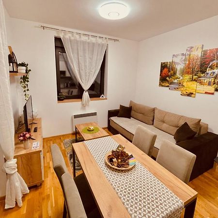 Lux Apartmani Vojinovic 兹拉蒂博尔 外观 照片