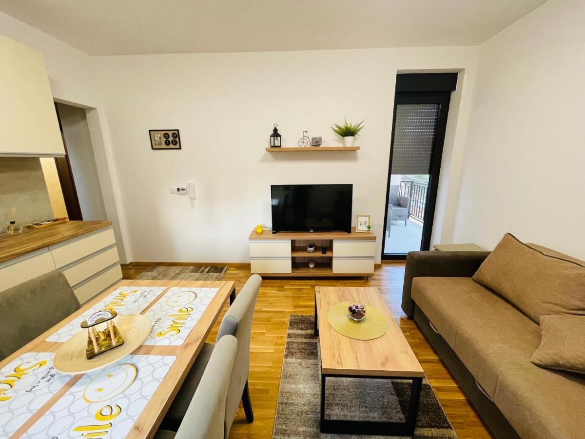 Lux Apartmani Vojinovic 兹拉蒂博尔 外观 照片