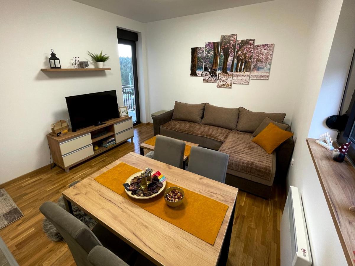 Lux Apartmani Vojinovic 兹拉蒂博尔 外观 照片