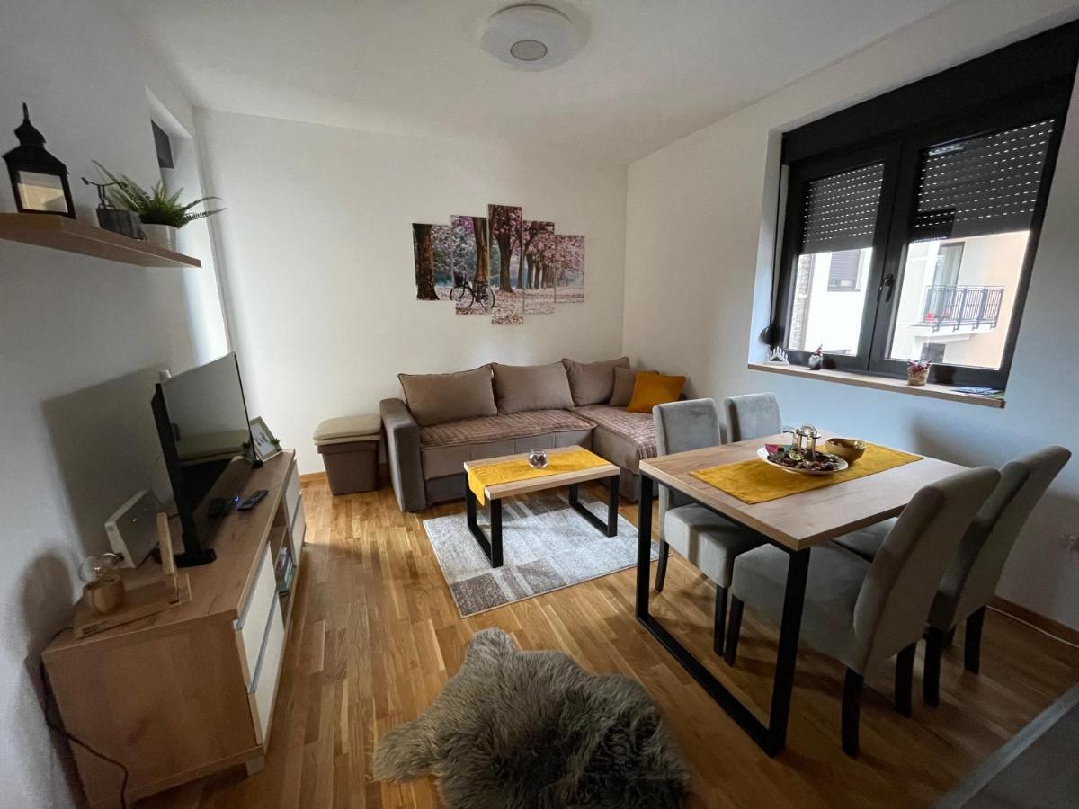 Lux Apartmani Vojinovic 兹拉蒂博尔 外观 照片