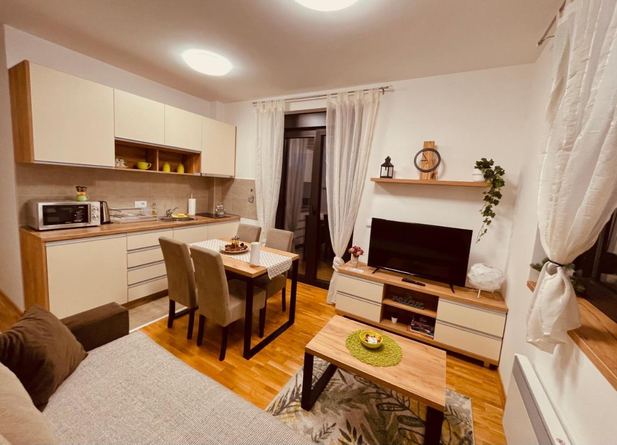 Lux Apartmani Vojinovic 兹拉蒂博尔 外观 照片