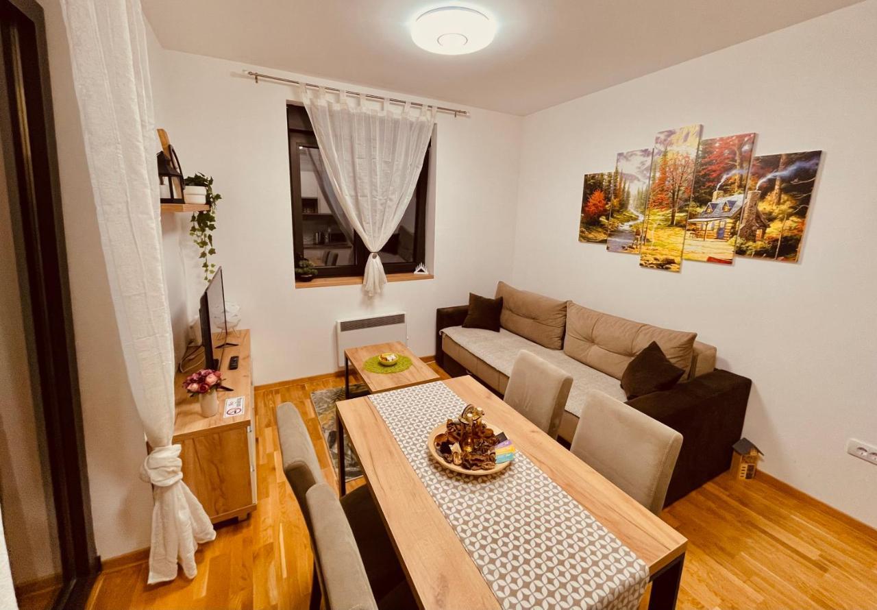 Lux Apartmani Vojinovic 兹拉蒂博尔 外观 照片