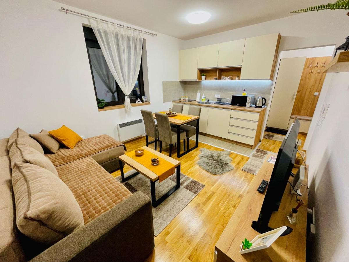 Lux Apartmani Vojinovic 兹拉蒂博尔 外观 照片