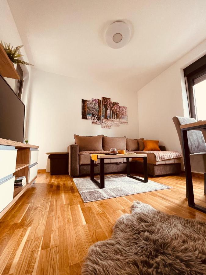 Lux Apartmani Vojinovic 兹拉蒂博尔 外观 照片