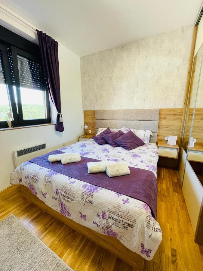 Lux Apartmani Vojinovic 兹拉蒂博尔 外观 照片