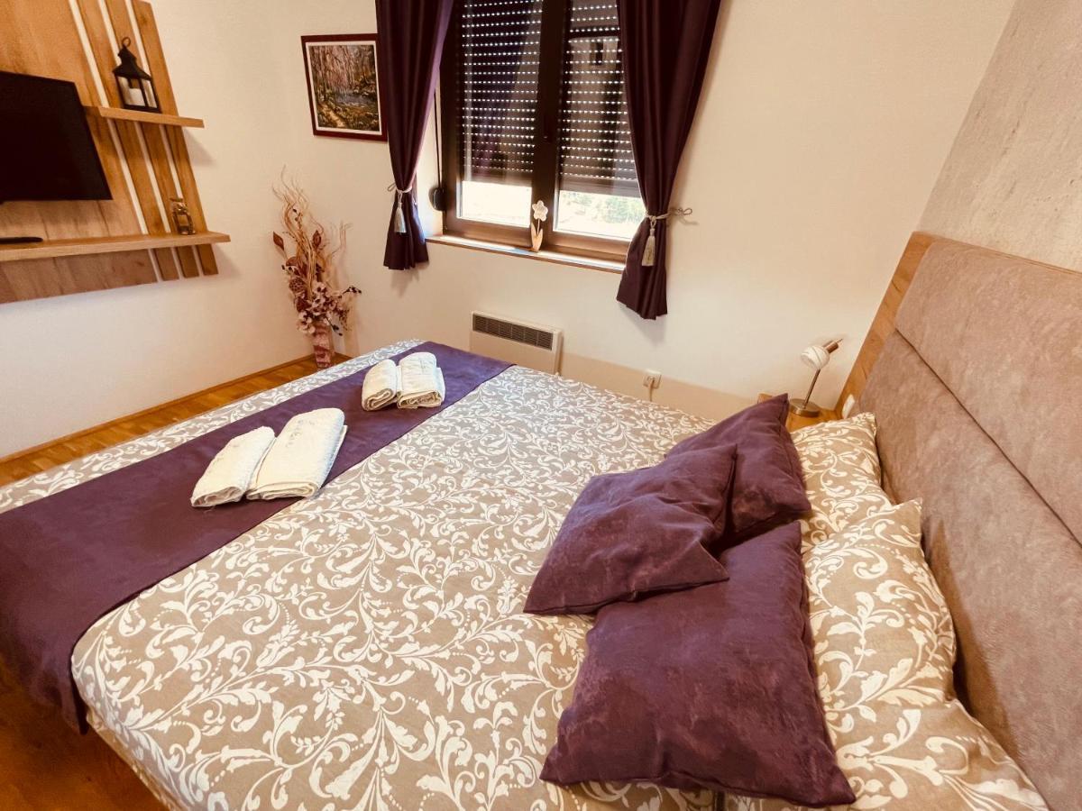 Lux Apartmani Vojinovic 兹拉蒂博尔 外观 照片