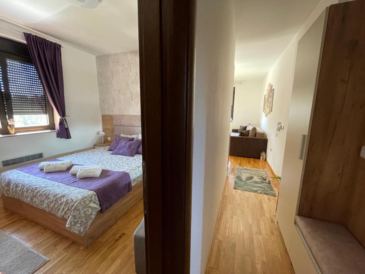 Lux Apartmani Vojinovic 兹拉蒂博尔 外观 照片
